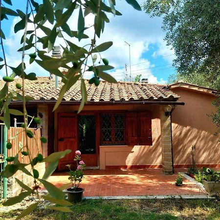 All'Ombra Degli Olivi Pisciarelli Ngoại thất bức ảnh
